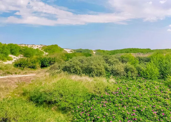 2 Bedroom Beautiful In Semesterbostad Bredene